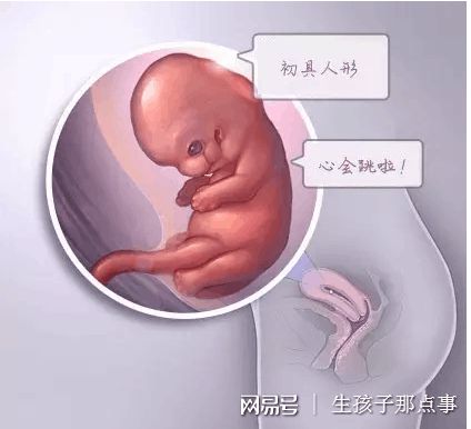 关于冰原生殖